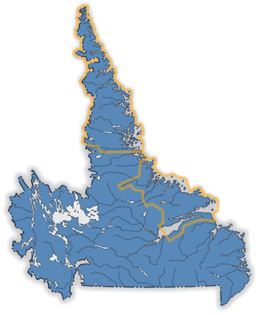 Labrador