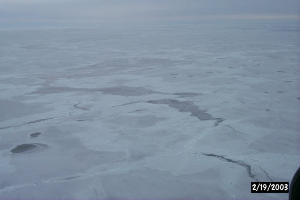 Thin ice off Cape North