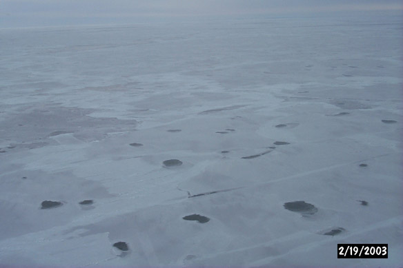 Thin ice off Cape North