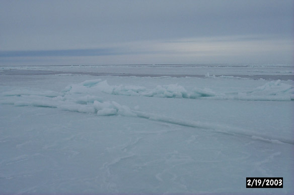 Thin ice off Cape North