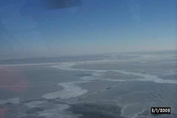 Long line to Maggies