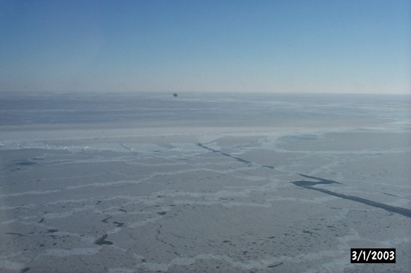 Long line to Maggies