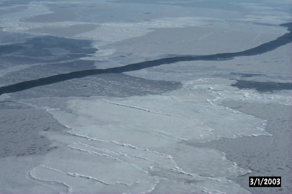 Long line to Maggies