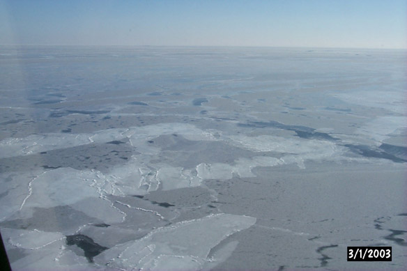 Long line to Maggies