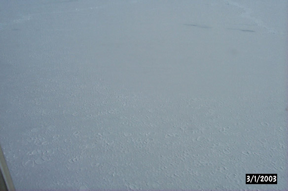 Grey ice