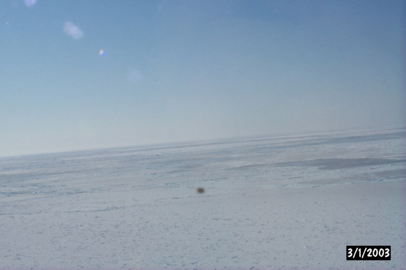 Long line to Maggies