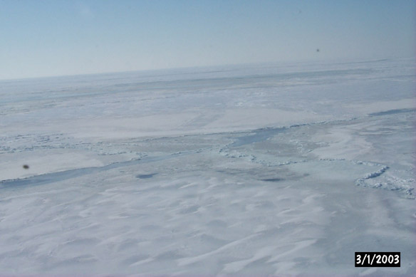 Long line to Maggies