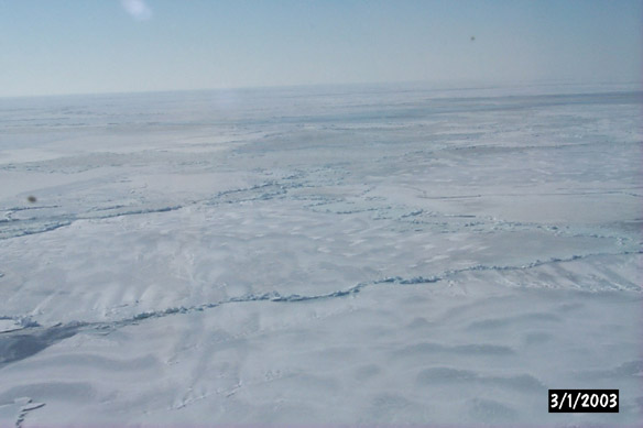 Long line to Maggies