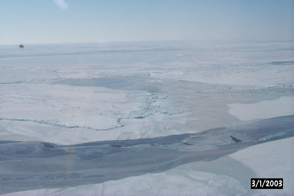 Long line to Maggies