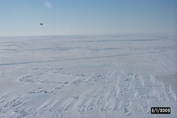 Long line to Maggies