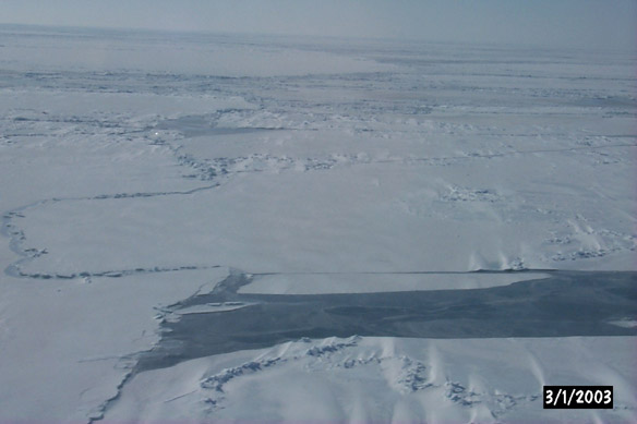 Long line to Maggies