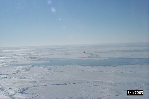 Long line to Maggies