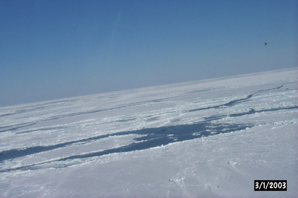 Long line to Maggies