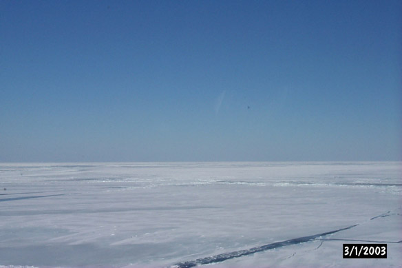 Long line to Maggies