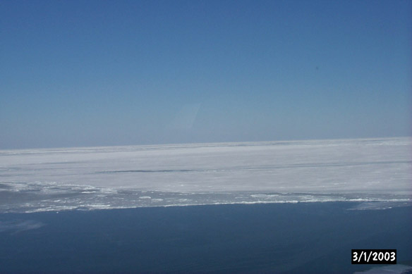 Long line to Maggies