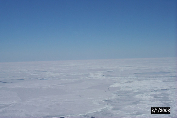 Long line to Maggies