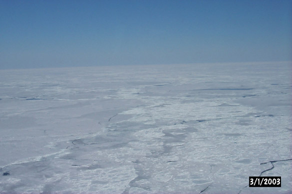 Long line to Maggies