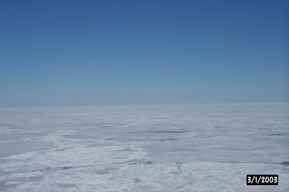 Long line to Maggies