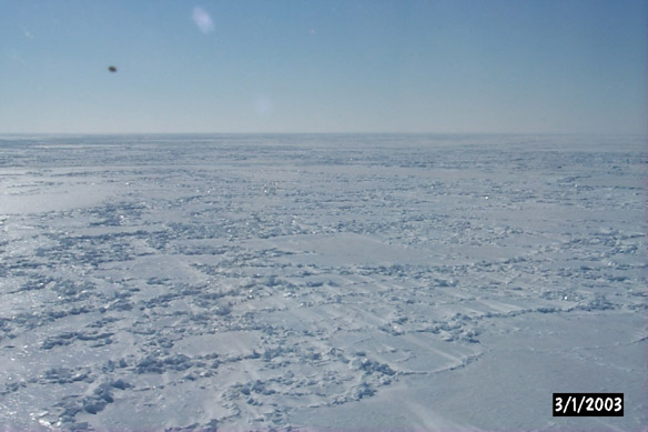 Long line to Maggies