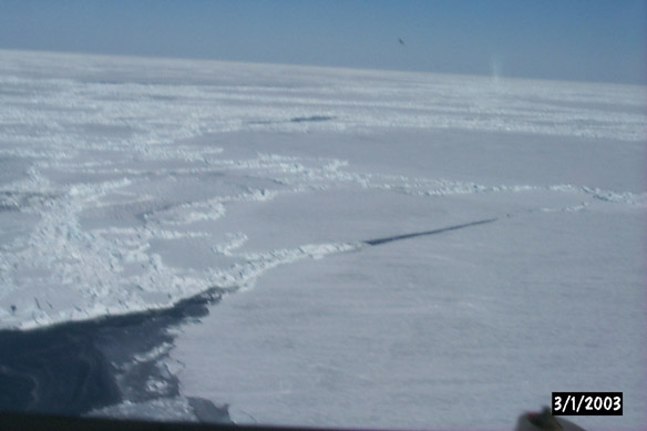 Long line to Maggies