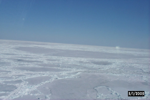 Long line to Maggies