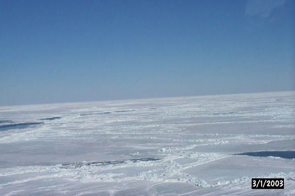 Long line to Maggies