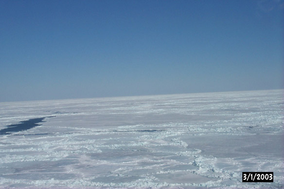 Long line to Maggies