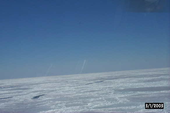 Long line to Maggies