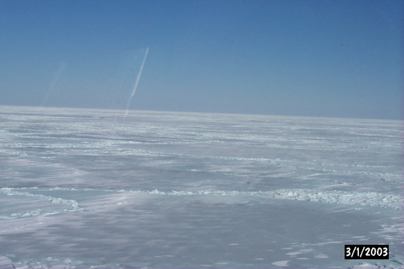 Long line to Maggies