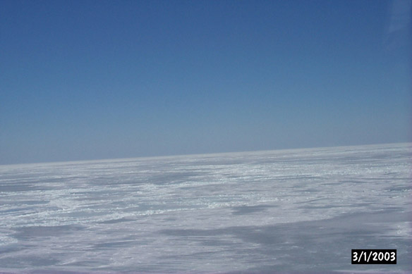 Long line to Maggies