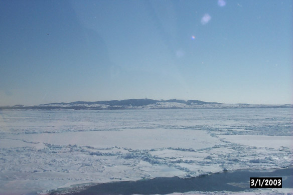 Long line to Maggies