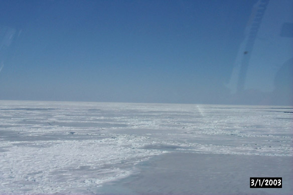 Long line to Maggies