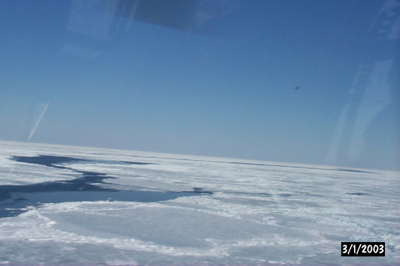 Long line to Maggies