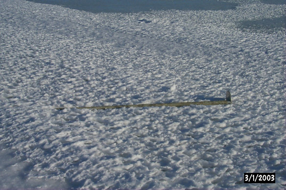 Surface Sampling - Site 2