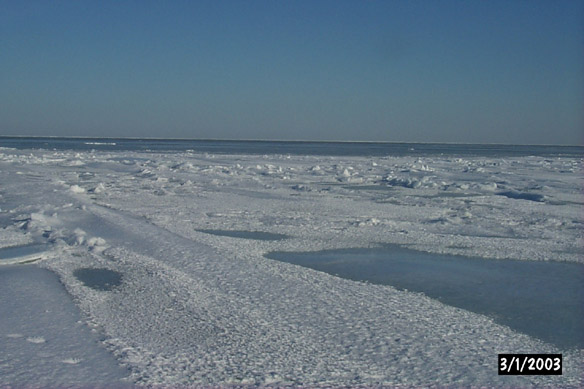 Surface Sampling - Site 2