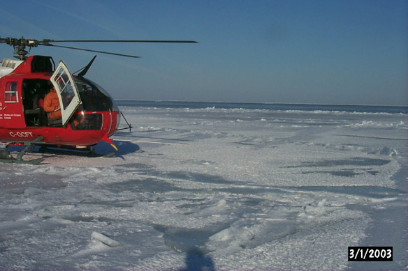 Surface Sampling - Site 2