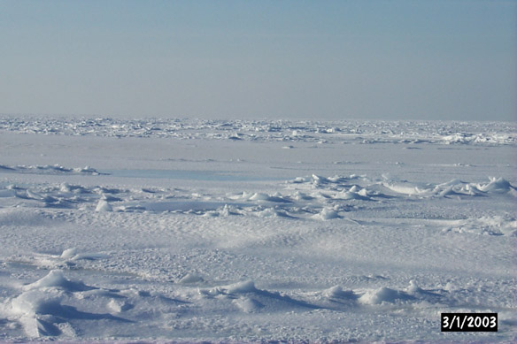 Surface Sampling - Site 2