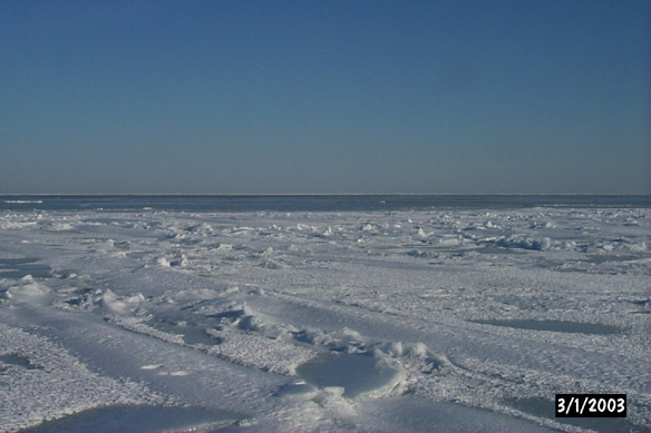 Surface Sampling - Site 2