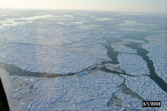 Surf/Heli Sampling (other sites)