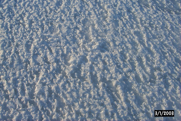 Surf/Heli Sampling (other sites)