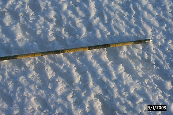 Surf/Heli Sampling (other sites)