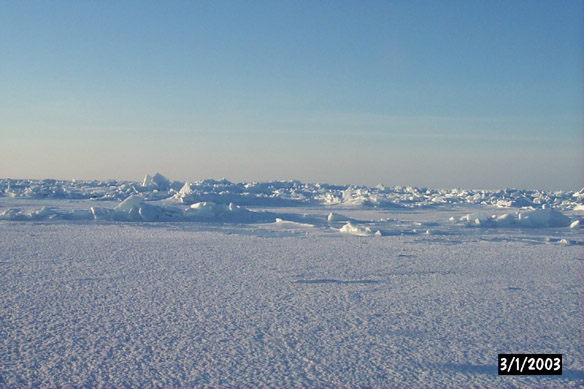 Surf/Heli Sampling (other sites)