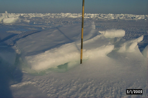 Surf/Heli Sampling (other sites)