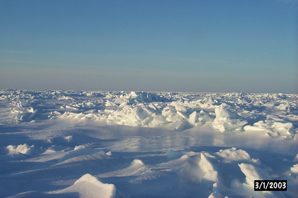 Surf/Heli Sampling (other sites)