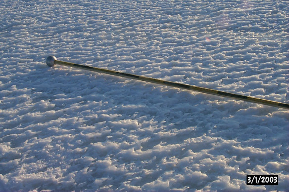 Surf/Heli Sampling (other sites)