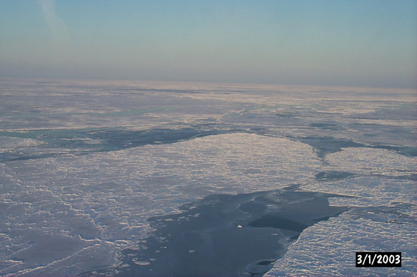 Surf/Heli Sampling (other sites)