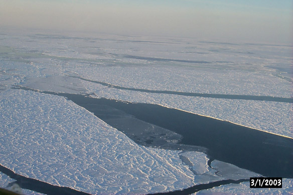 Surf/Heli Sampling (other sites)