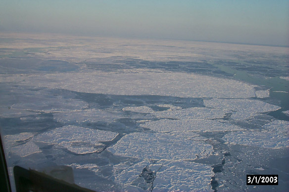 Surf/Heli Sampling (other sites)