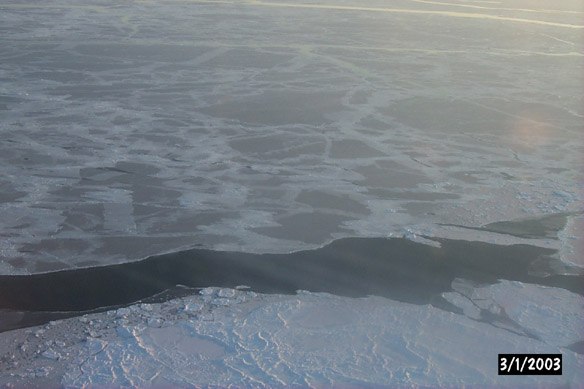 Surf/Heli Sampling (other sites)