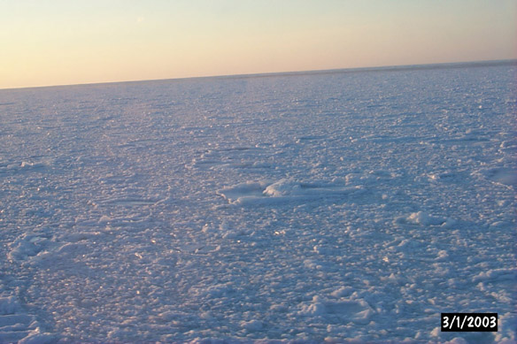 Surf/Heli Sampling (other sites)